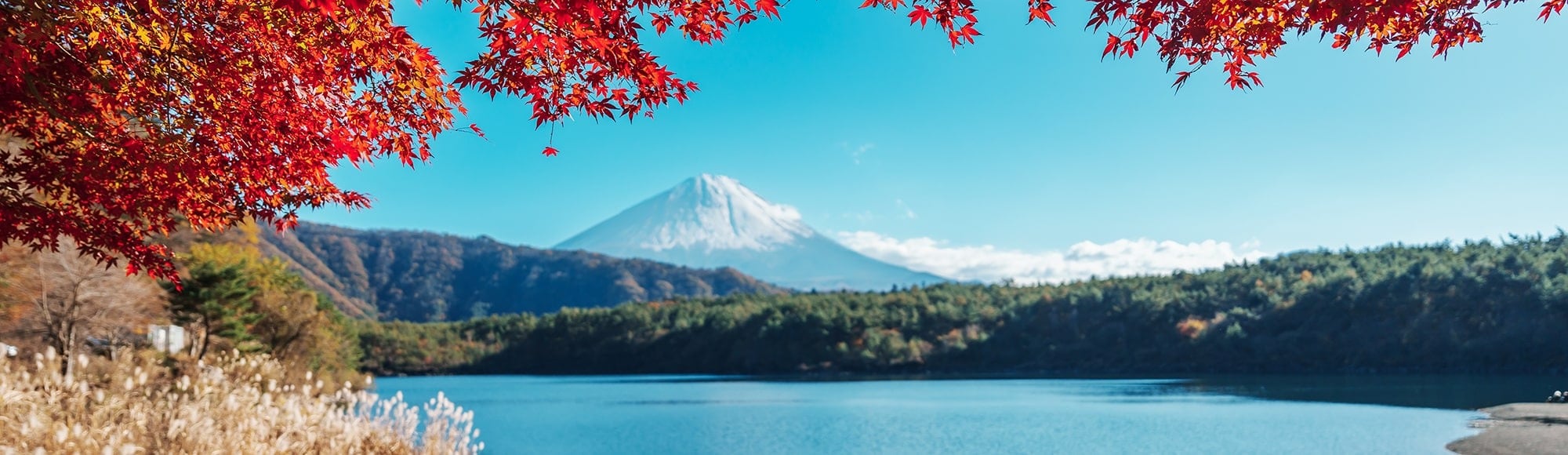 Круизы по Азии